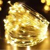 Χριστουγεννιάτικα Ψείρες LED 100 Leds σε Θερμό φως με Ασημί σύρμα 7,40m μήκος καλωδίου IP44 με Προγράμματα